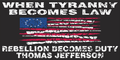 When Tyranny Becomes Law Betsy Ross Bumper Sticker