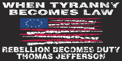 When Tyranny Becomes Law Betsy Ross Bumper Sticker